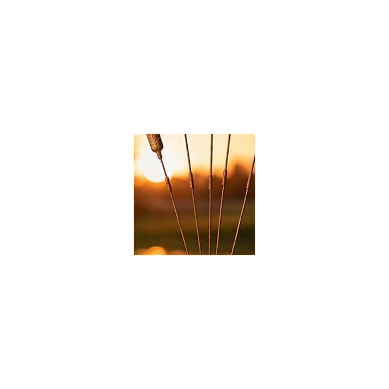 Is Plant Parent Free To Use - โมบายลมรูปต้นกกเหล็ก ตกแต่งกลางแจ้ง ทำมือ สไตล์ชนบท ที่ค้ำยันต้นไม้ สำหรับเป็นของขวัญให้พ่อแม่