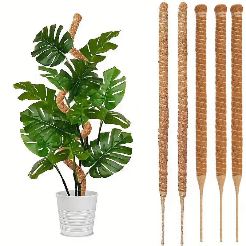 Monstera Thai Constellation - เสาไม้เลื้อยแบบโค้งงอได้ สำหรับพยุงต้นไม้ ต่อขยายได้ ใช้สำหรับพยุงต้นมอนสเตอร่า เสาค้ำต้นไม้ อุปกรณ์เสริมสำหรับกระถางต้นไม้ในสวน