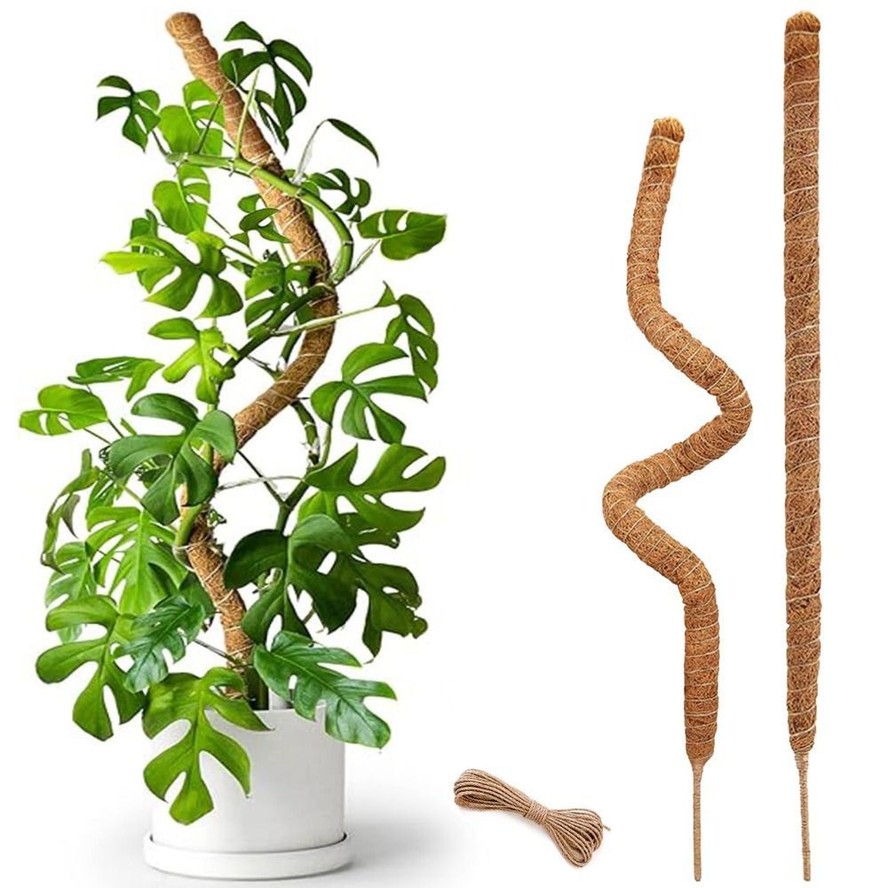 Monstera Thai Constellation - เสาค้ำต้นไม้แบบโค้งงอได้ ทำจากวัสดุธรรมชาติ ทำด้วยมือ เป็นมิตรกับสิ่งแวดล้อม ใช้สำหรับพยุงต้นไม้ในสวนและในร่ม