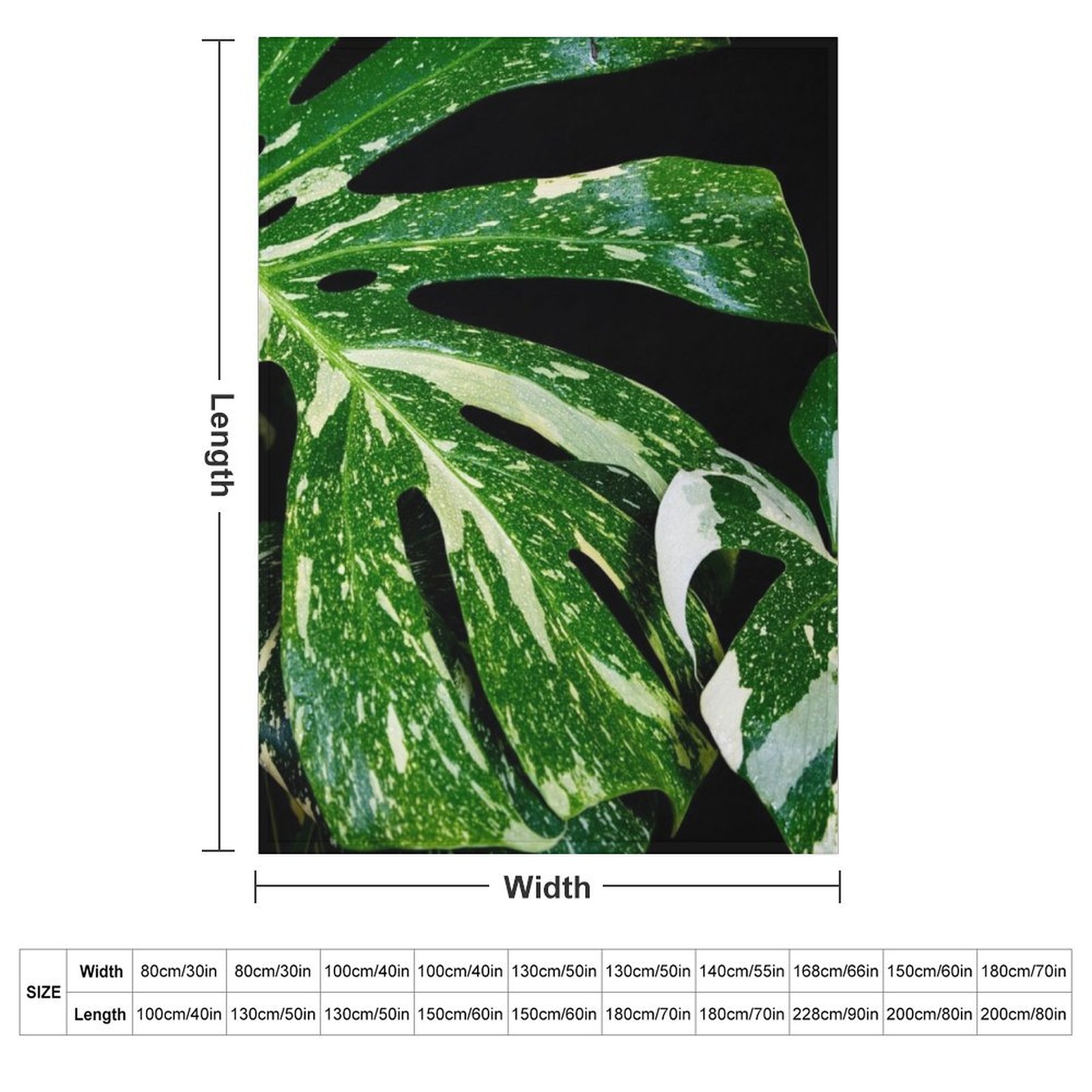 ผ้าห่มลายโมนสเตอร่า ไทย คอนสเต - Monstera Thai Constellation บทวิจารณ์และราคา