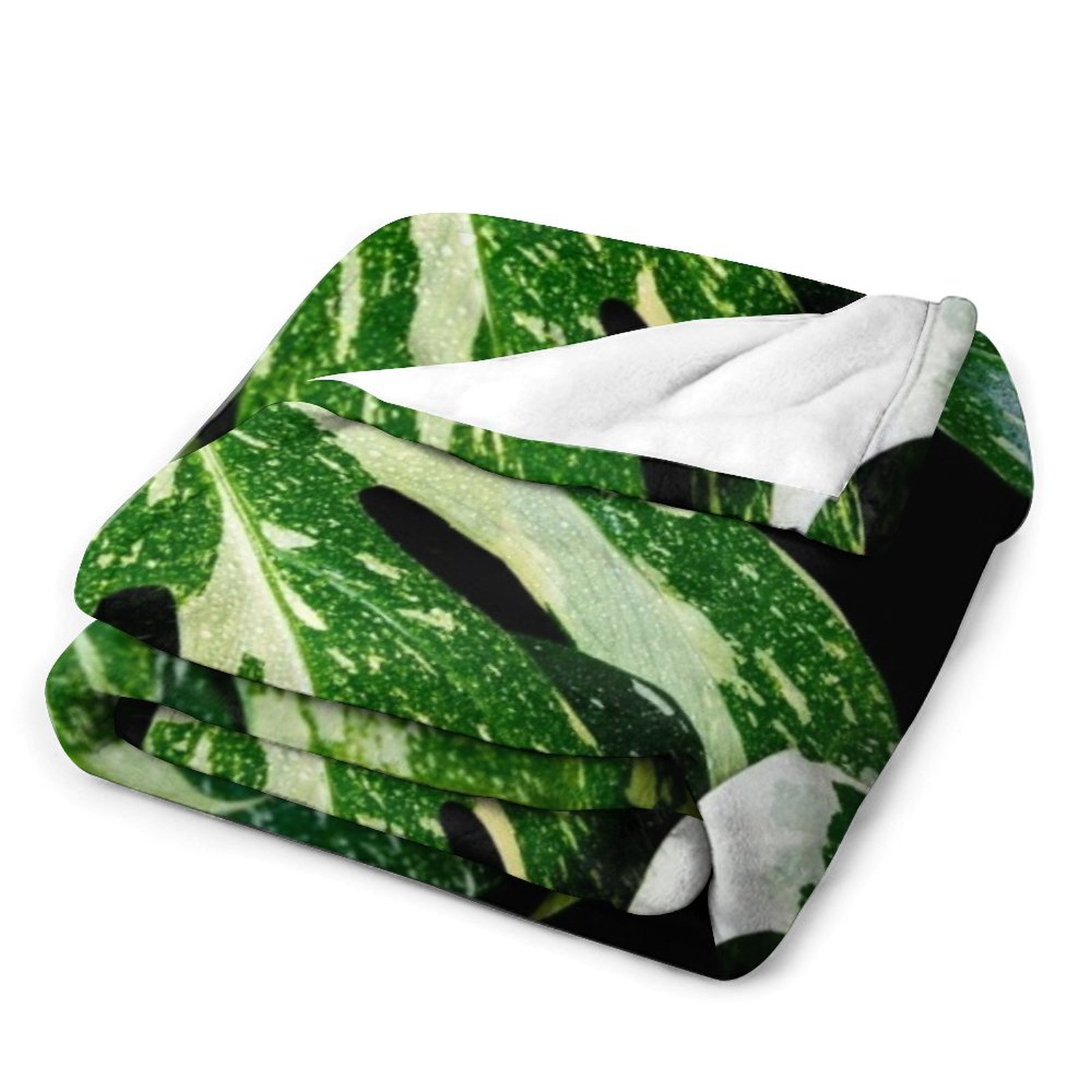 ผ้าห่มลายโมนสเตอร่า ไทย คอนสเต - Monstera Thai Constellation บทวิจารณ์และราคา