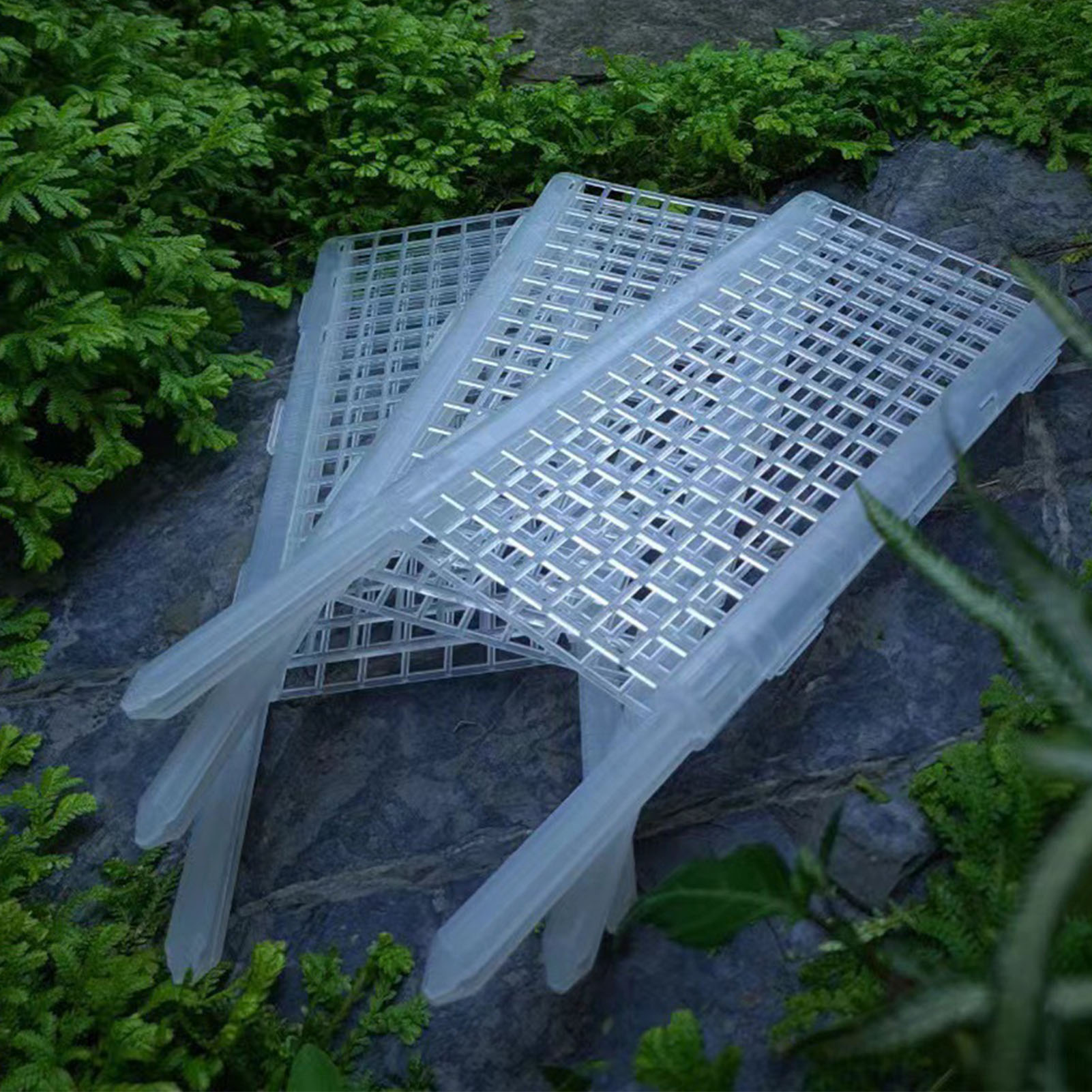 เสามอสพลาสติกสำหรับปลูกพืชเสาม - Monstera Thai Constellation บทวิจารณ์และราคา