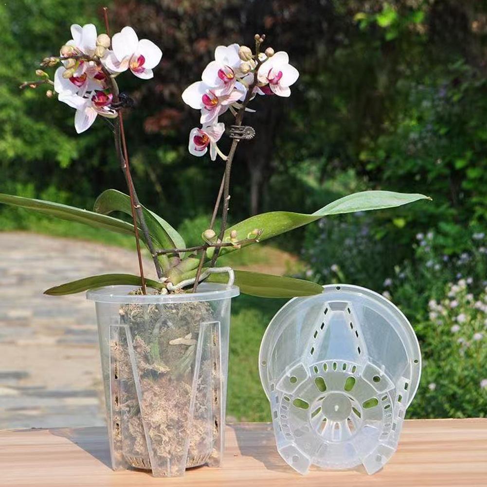 กระถางปลูกต้นไม้แบบโปร่งใส ควบ - Plant Parent บทวิจารณ์และราคา