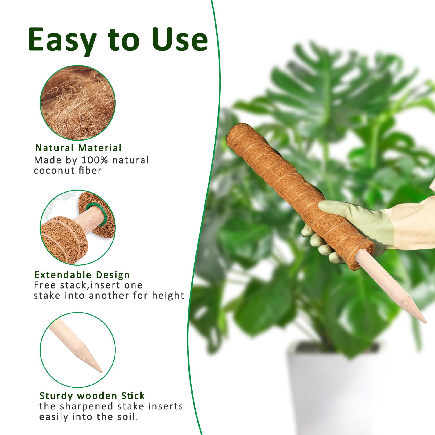เสาไม้เลื้อย 38/43/53 ซม. สำหร - Monstera Thai Constellation บทวิจารณ์และราคา