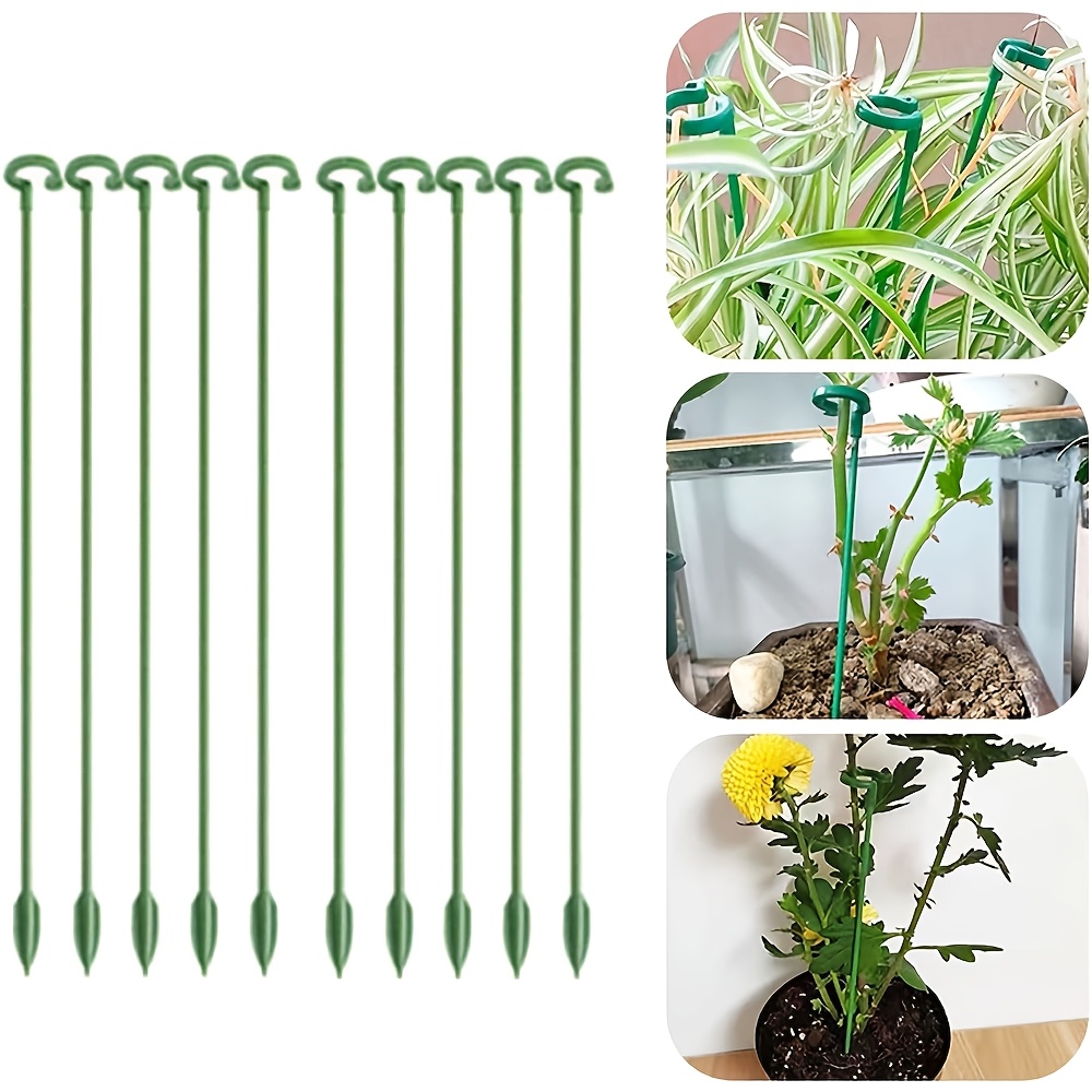 ขาตั้งพยุงต้นไม้ 5/10 ชิ้น สำห - Monstera Thai Constellation บทวิจารณ์และราคา