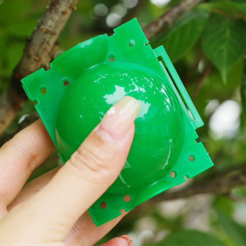 กล่องเพาะชำแบบมีช่องระบายอากาศ - Plant Parent บทวิจารณ์และราคา