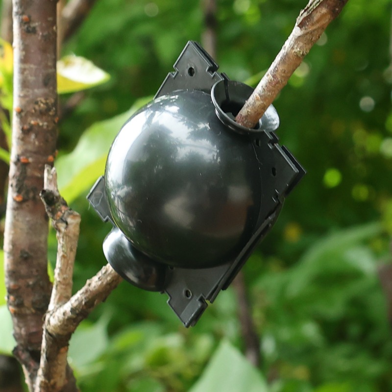 กล่องเพาะชำแบบมีช่องระบายอากาศ - Plant Parent บทวิจารณ์และราคา