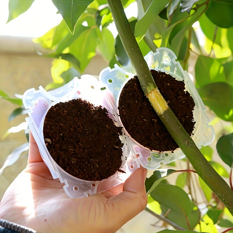 ชุดกล่องเพาะพันธุ์พืช 10 ชิ้น  - Plant Parent บทวิจารณ์และราคา