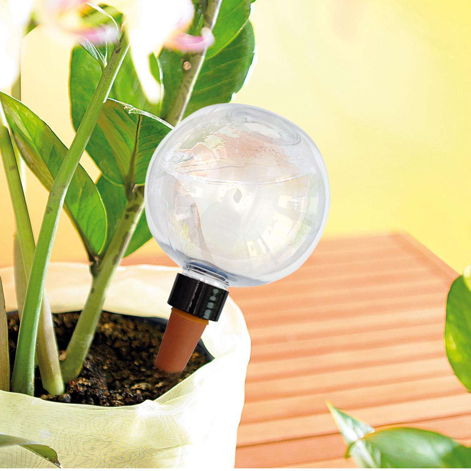 หลอดรดน้ำต้นไม้อัตโนมัติ 500 ม - Plant Parent บทวิจารณ์และราคา